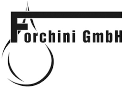 ForchiniGmbh_Logo_20250322_184707